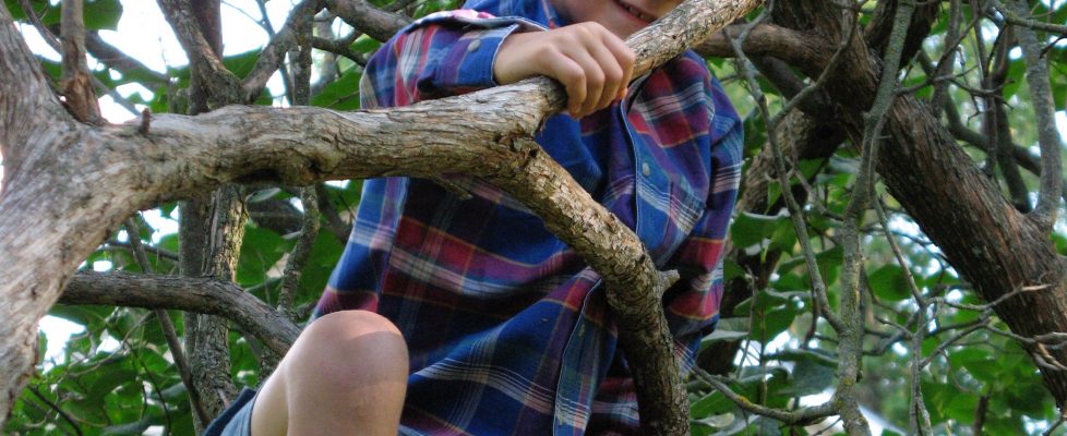 Six Ideas for Unplugged Time