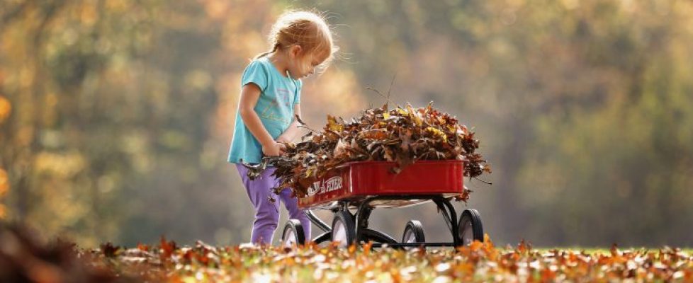 10 Outdoor Autumn Activities To Do with Your Child
