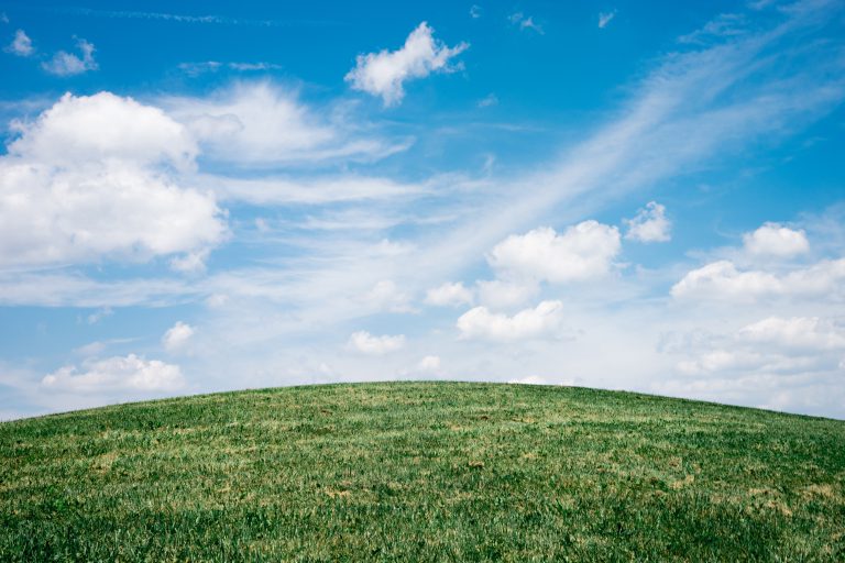 Celebrate Earth Day