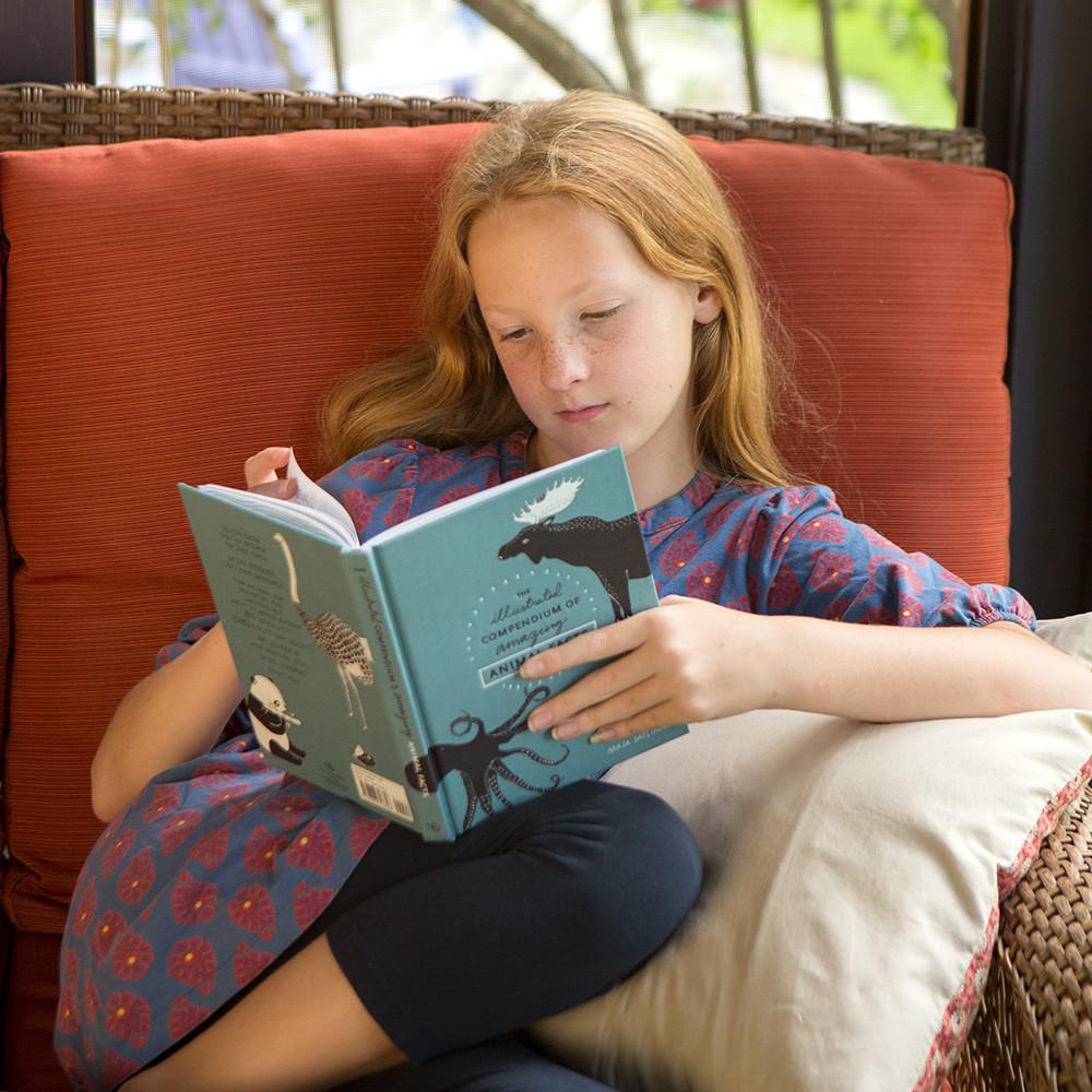 Books to Spark the Imagination
