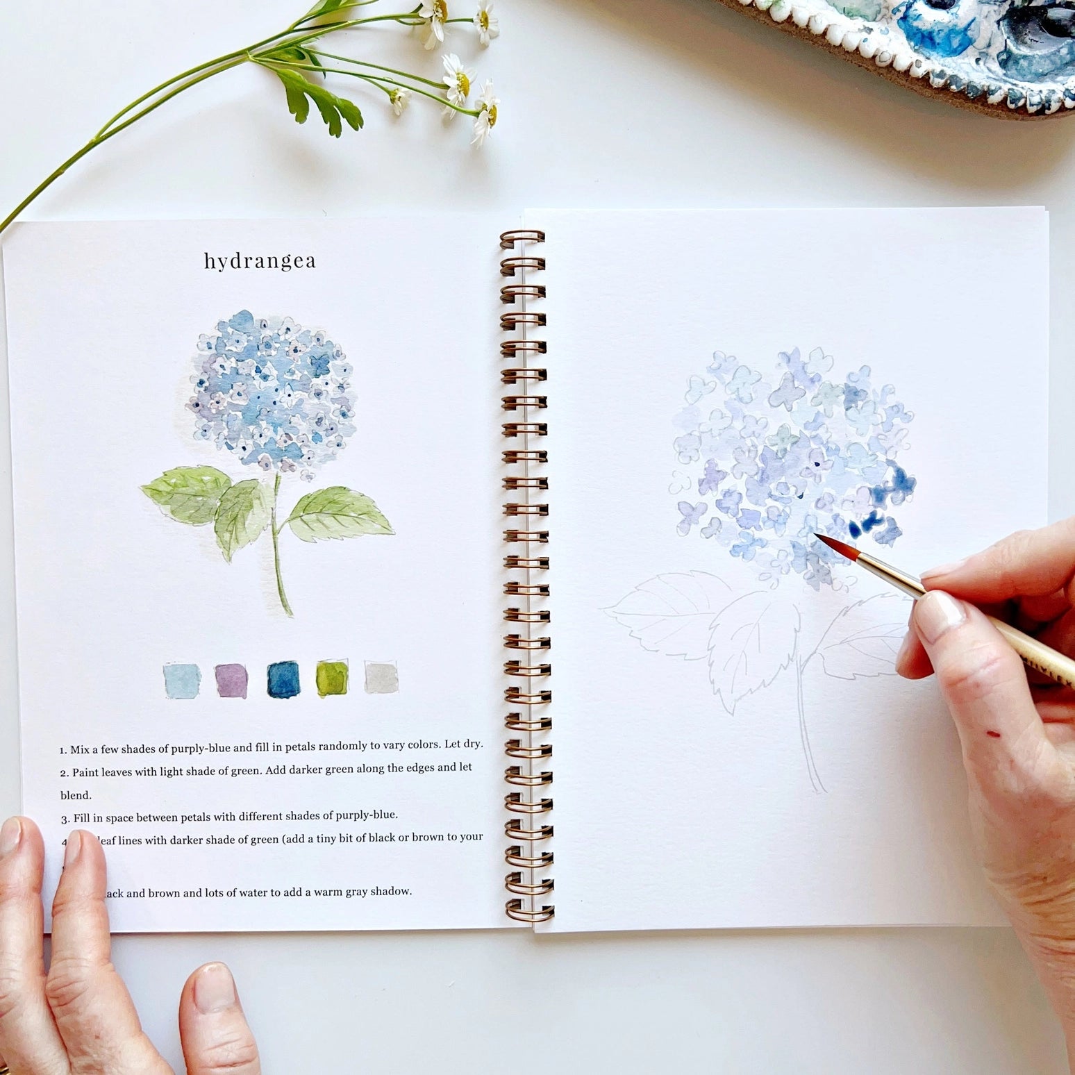 Watercolor Paintings  Workbook