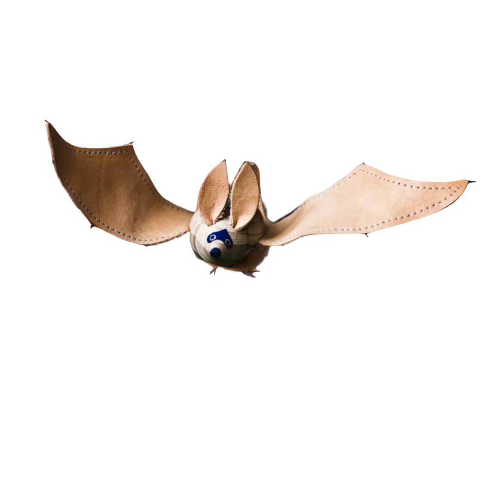 Eperfa Big-Eared Bat