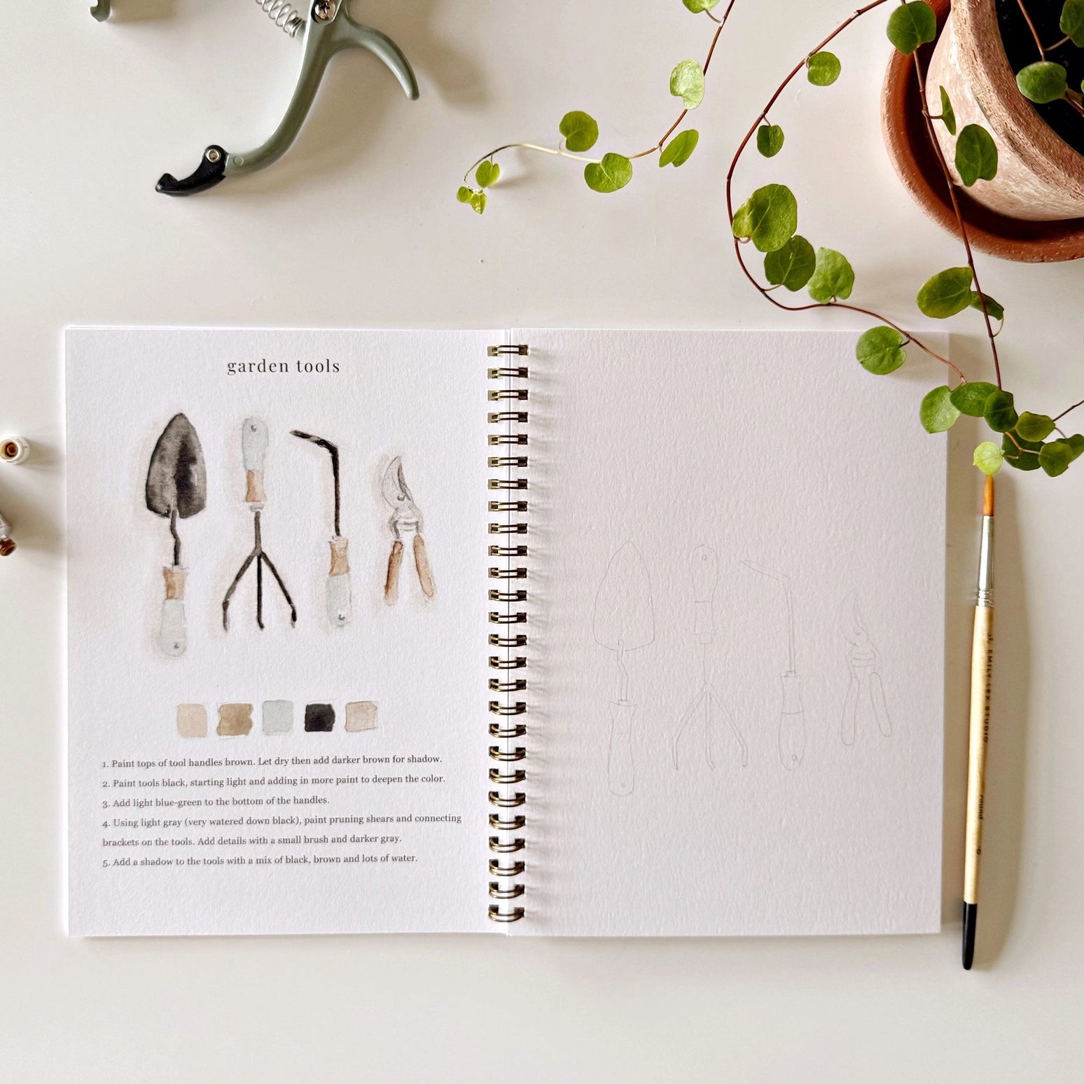 Watercolor Paintings  Workbook