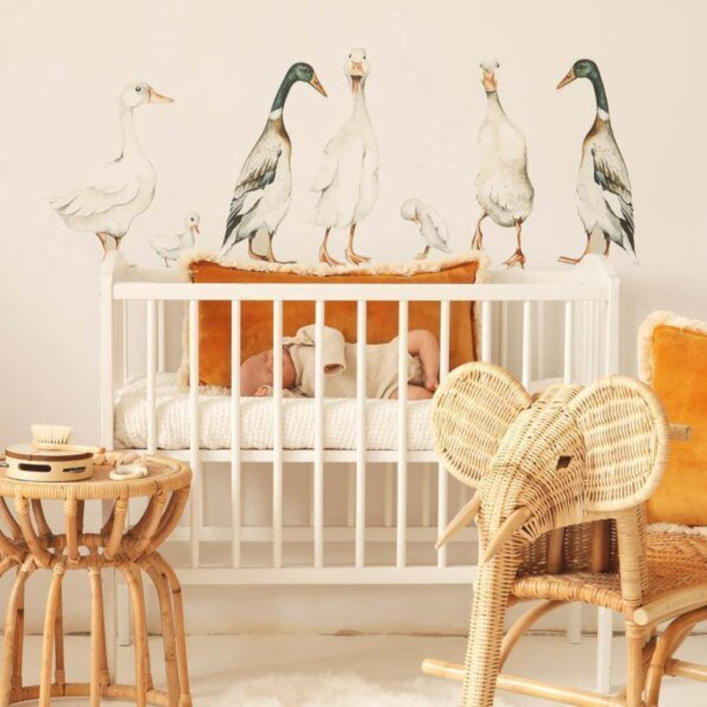 Wall sticker Dekor White Ducks / Return to Innocence