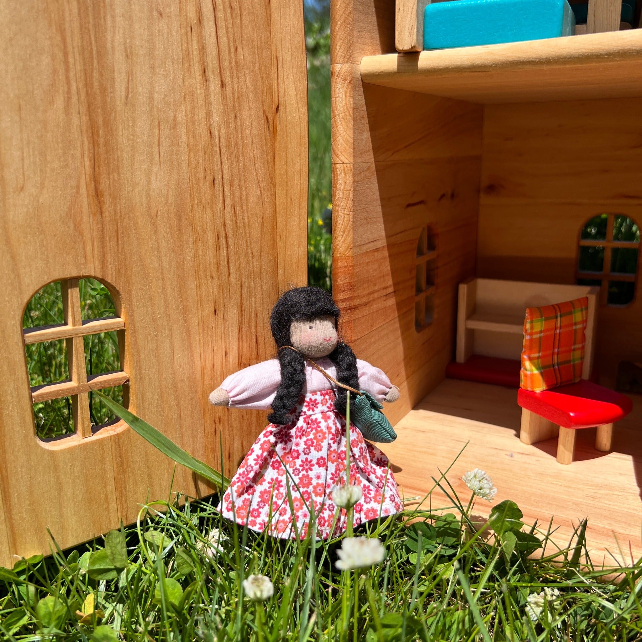 Doll House Medium Skin Family and their Members