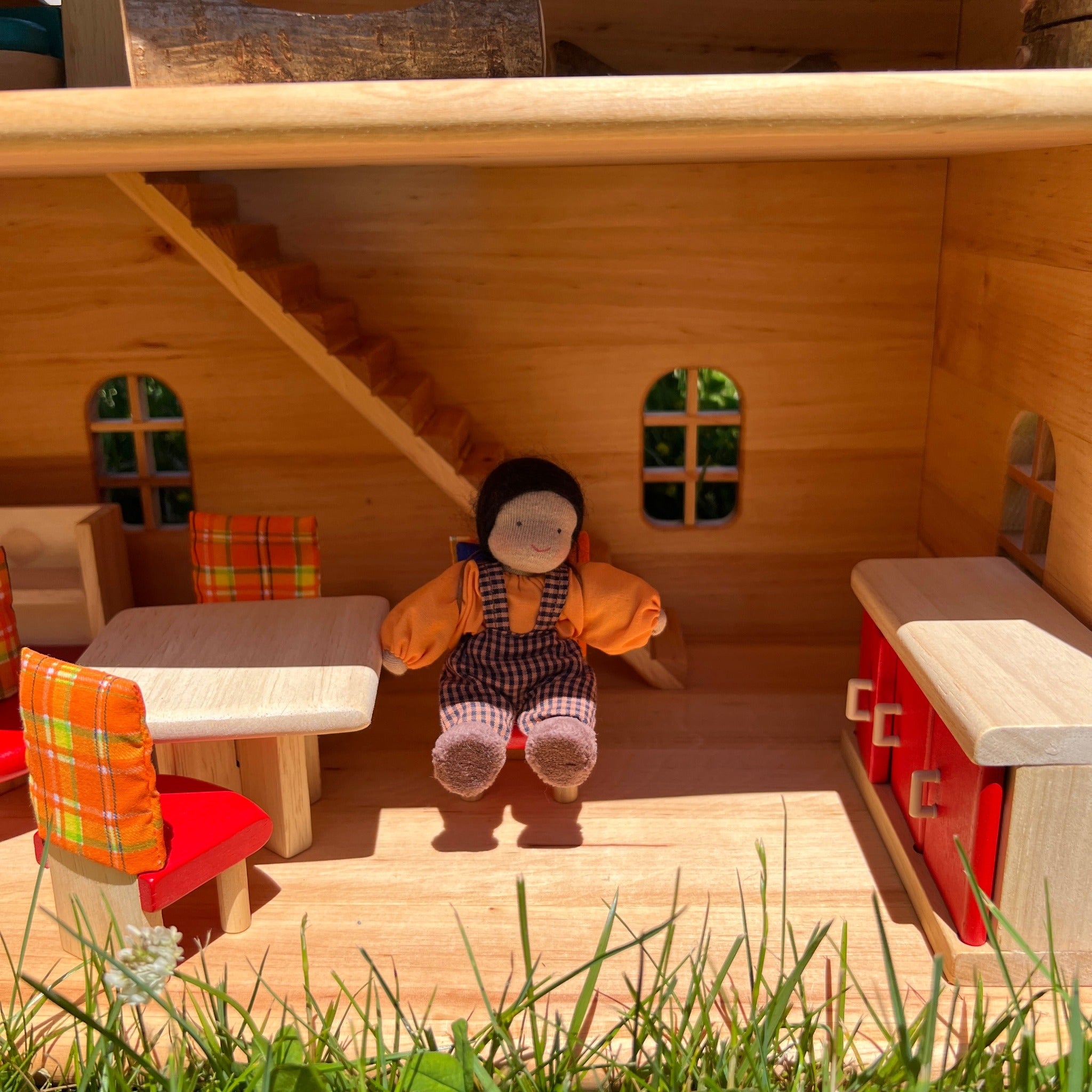Doll House Medium Skin Family and their Members