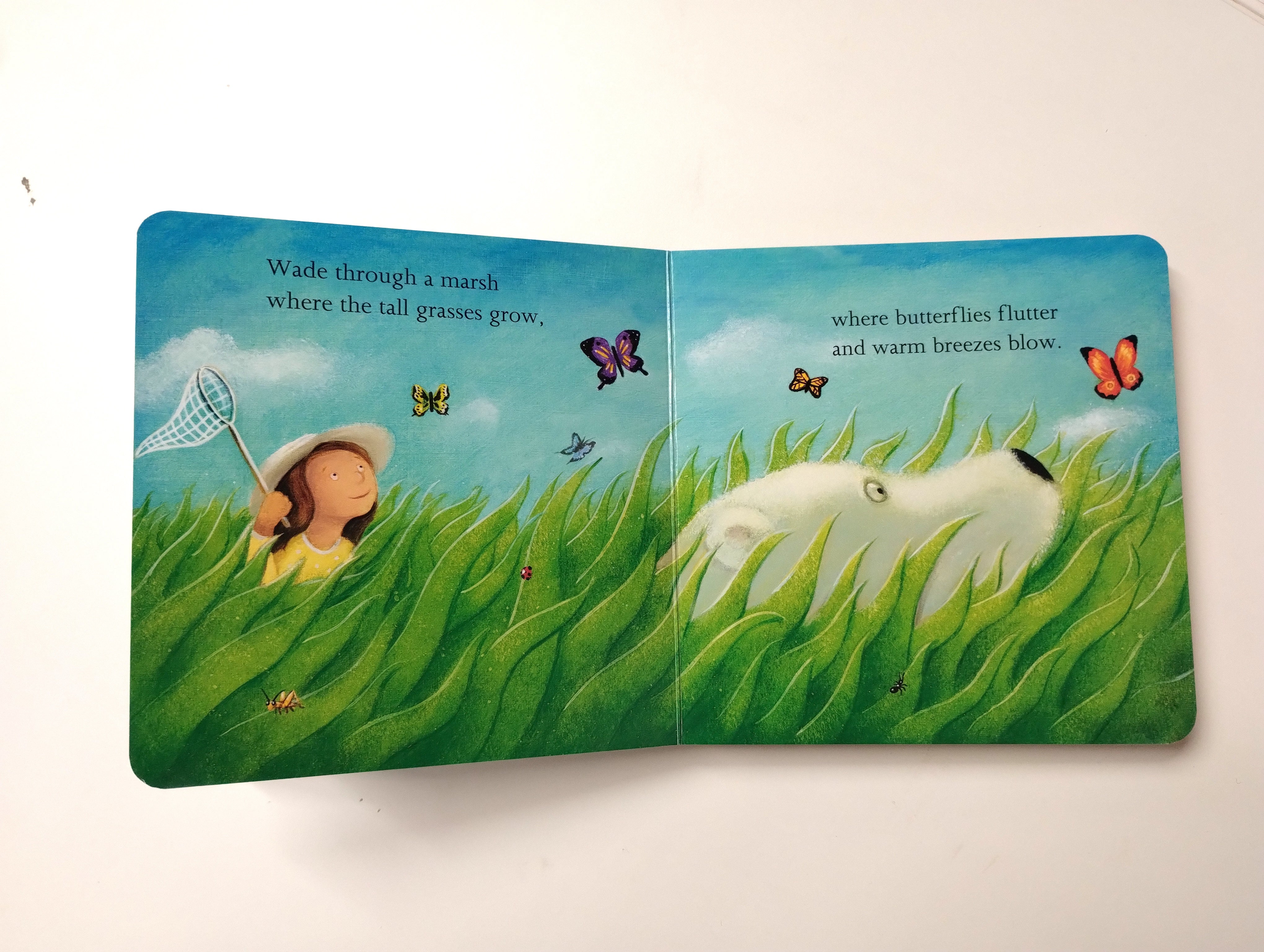 Hush Little Polar Bear Picture Book