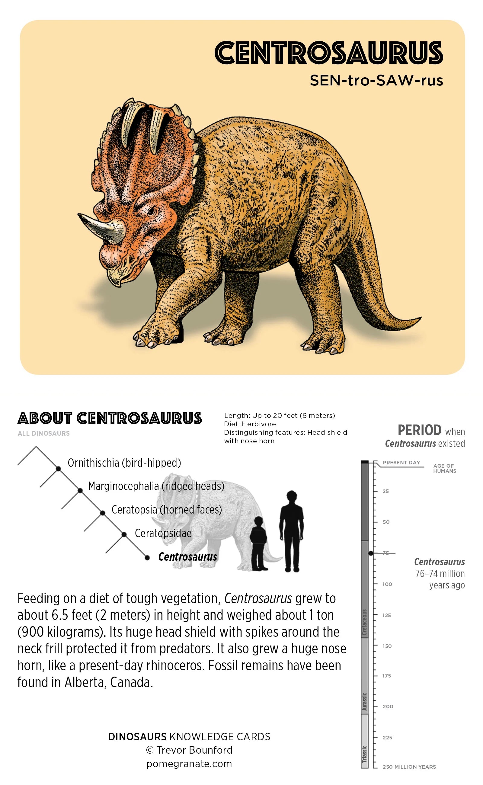 Dinosuars Knowledge Cards