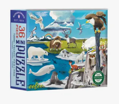 36 pc Mini Puzzle