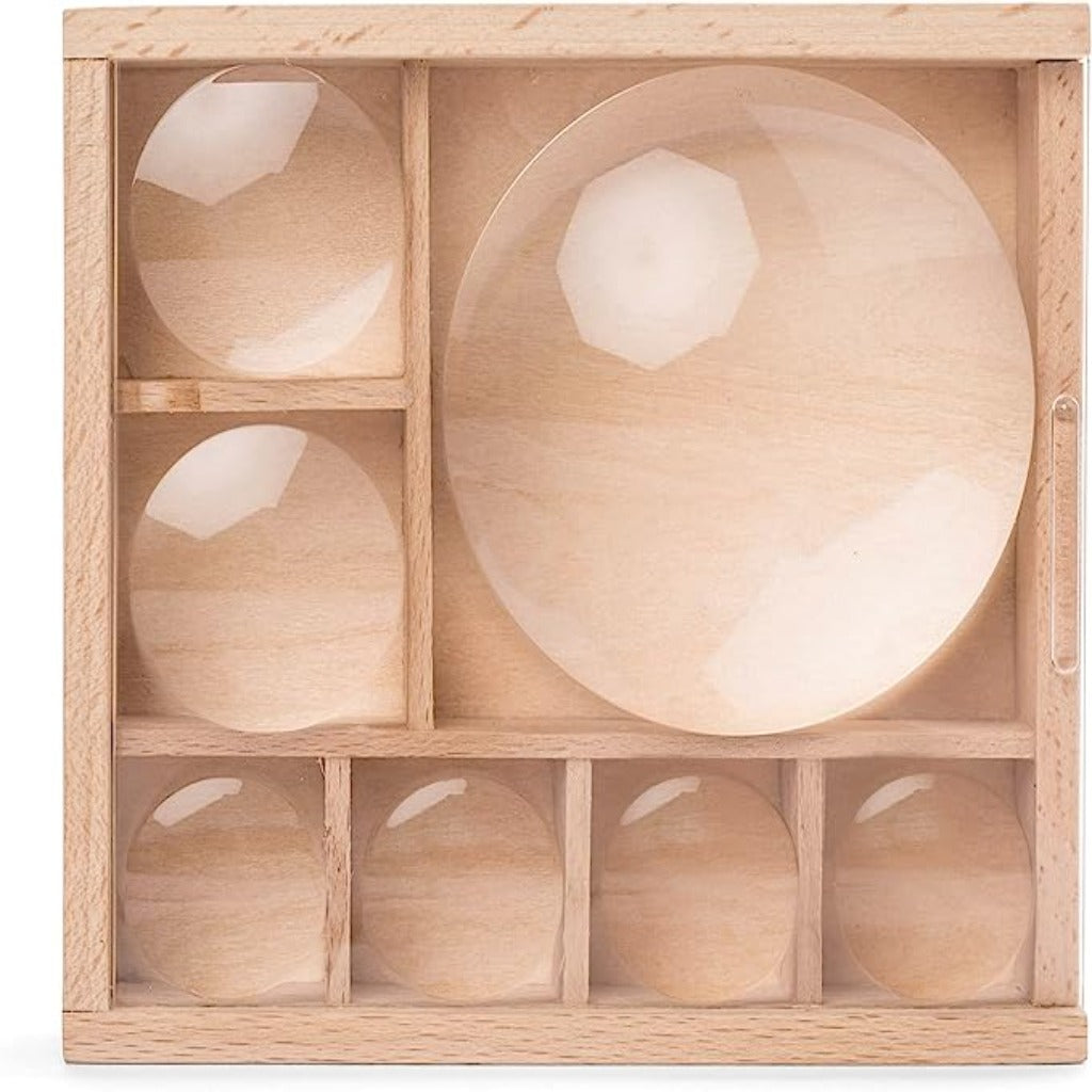 Curious Specimen Box