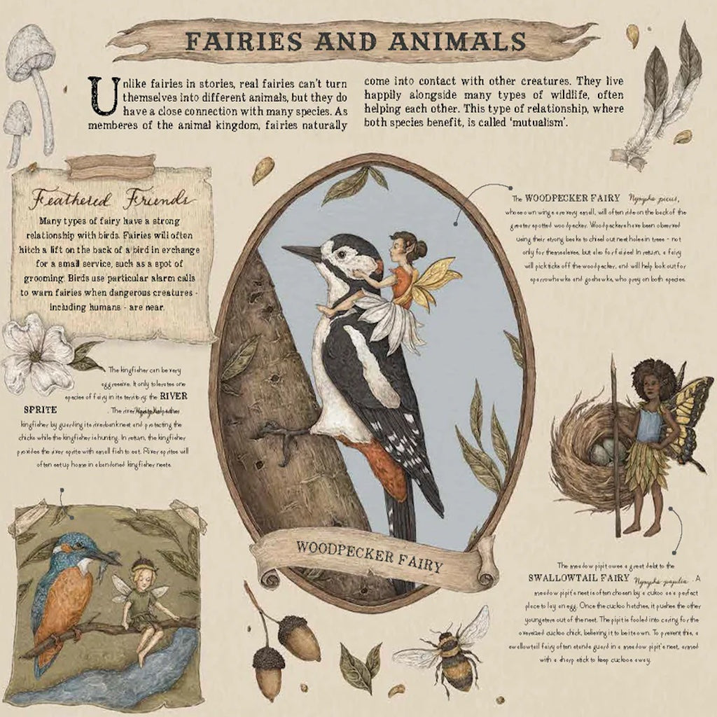 A Natural History of Fairies