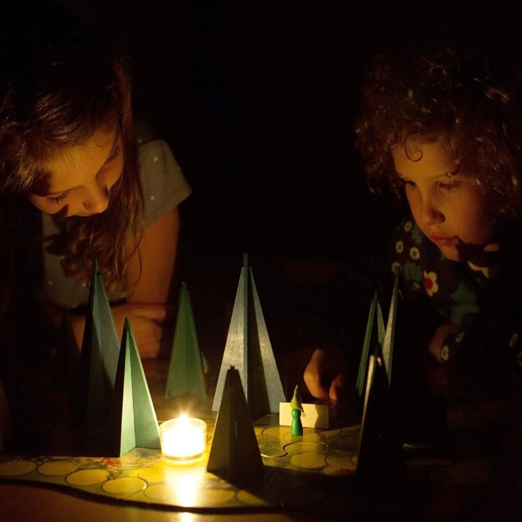 shadows in the forest game - Nova Natural Toys & Crafts - 1